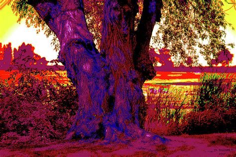 The Tree Digital Art By David Stasiak Fine Art America