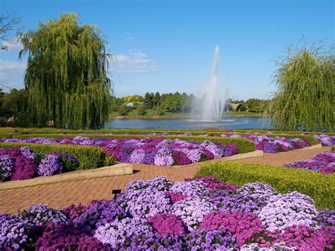 The 9 Most Beautiful Botanical Gardens In The Us Botanical Gardens