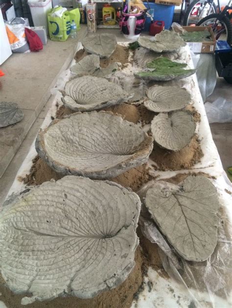 Beautiful concrete cement leaf casting using a rhubarb leaves and hosta
