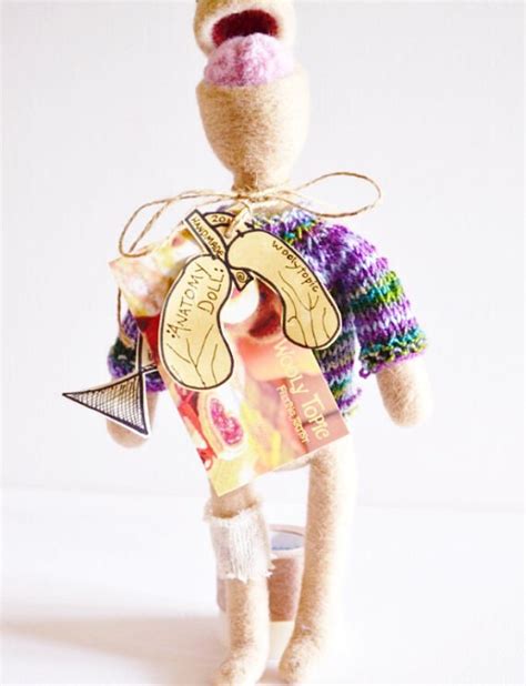 Anatomy Art Doll Human Body Wool Needle Felted Science