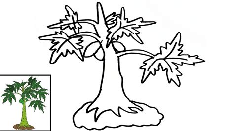 Sketsa Pohon Pepaya Satu Trik