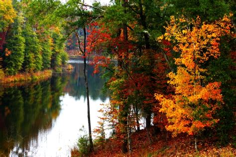 Stunningly Beautiful Fall Foliage At Mississippi State Parks
