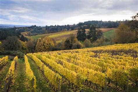 The Willamette Valley And Wine Country Photo Gallery Fodors Travel