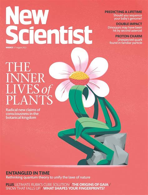 Issue 3401 Magazine Cover Date 27 August 2022 New Scientist