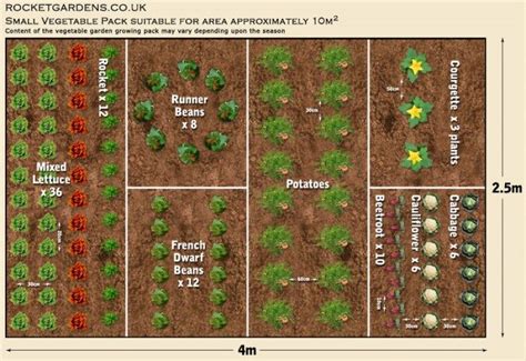 19 Vegetable Garden Plans And Layout Ideas That Will Inspire You Small
