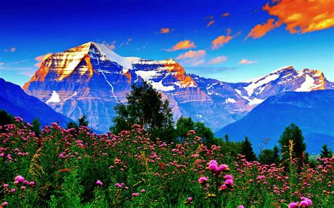 Spring Mountain Wallpapers Top Free Spring Mountain Backgrounds