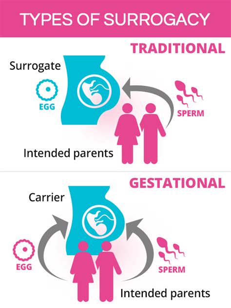 Surrogacy Traditional And Gestational Shecares