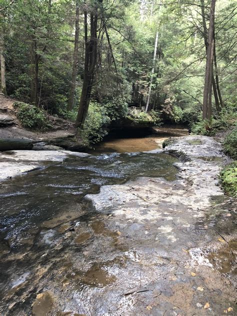 Red River Gorge Rock Bridge Trail Kentucky Alltrails