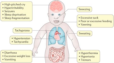 Neonatal Adaptation Syndrome Pediatric Practice Pearls For Your