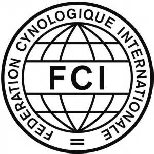Looking for online definition of fci or what fci stands for? The FCI standard | Minamoto No Yorimitsu