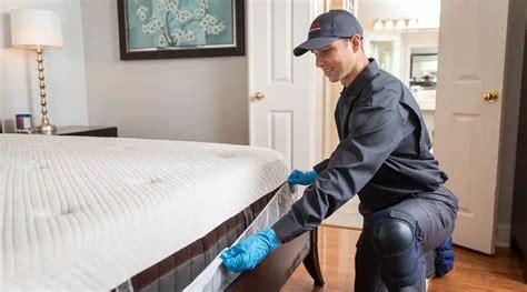 How To Dispose Of Bed Bug Infested Furniture The Home Answer