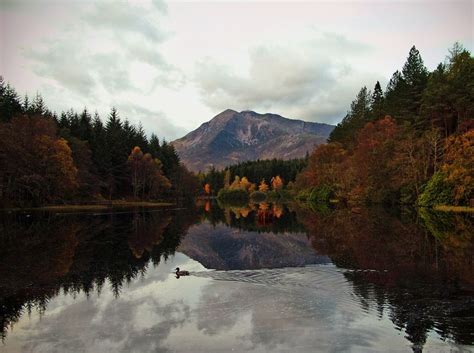 Glencoe Lochan Is A Tract Of Forest Located Just North Of Glencoe
