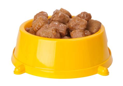 Only valuable animal proteins (meat, fish and offal) are used in our delicious happy dog meat pure wet food. Choosing The Right Dog Food For Your Dog | Daily Care Of A ...