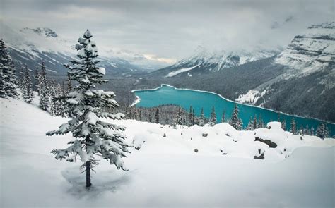 Fond Décran Paysage Forêt Lac Eau La Nature Neige Hiver