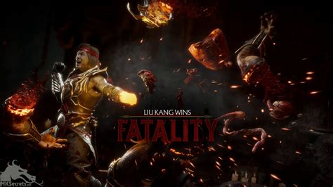 Mortal Kombat 11 Liu Kangs Burn Out Fatality Youtube