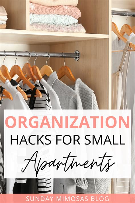 20 Genius Small Apartment Organization Ideas That Will Blow Your Mind