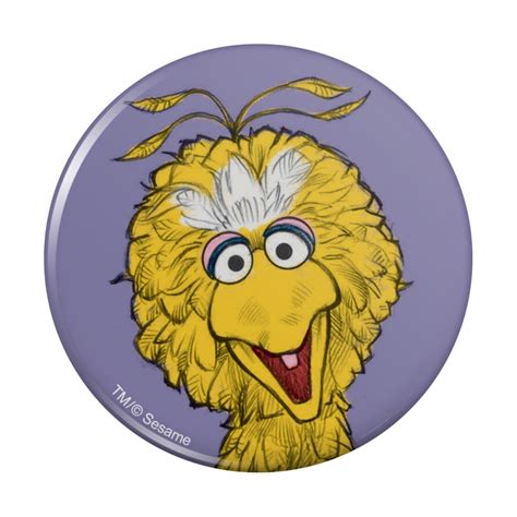 Sesame Street Vintage Big Bird Pinback Button Pin 349 Picclick