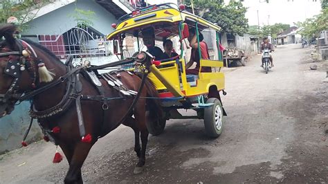 Becak Lombok Timur Kuda Delman Ala Pasar Angkutan Sederhana Youtube