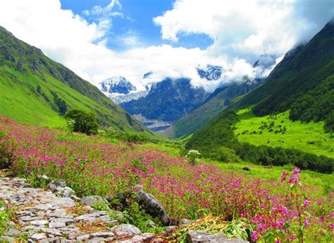 6 Reasons To Visit Valley Of Flowers National Park Valley Of Flowers