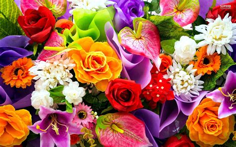 Colourful Flower Wallpapers Wallpaper Cave