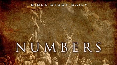 Numbers 32 33 Bible Study Daily