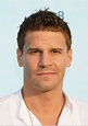 David Boreanaz - Bones Photo (14090041) - Fanpop