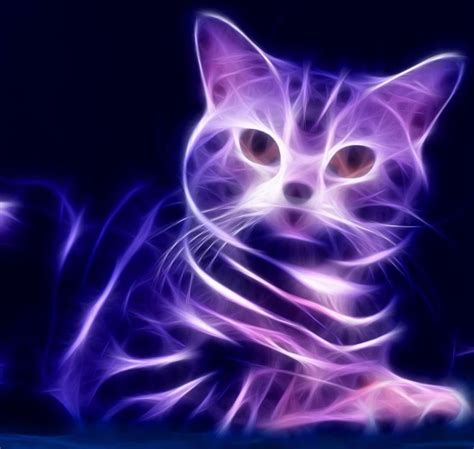 Blue Cool Purple Cat Cat Art Cats