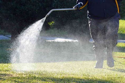3 Truths About “miracle” Lawn Care Products Best Pick Reports