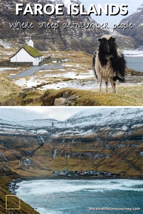 When Traveling To The Faroe Islands Youll Notice Something Truly