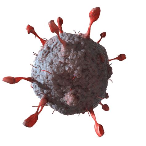 Severe acute respiratory syndrome (sars) is a viral respiratory the virus also can spread when a person touches a surface or object contaminated with infectious droplets and then touches his or. sars virus 3D Models - CGTrader.com