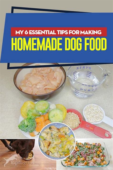 My 6 Essential Tips For Making Homemade Dog Food