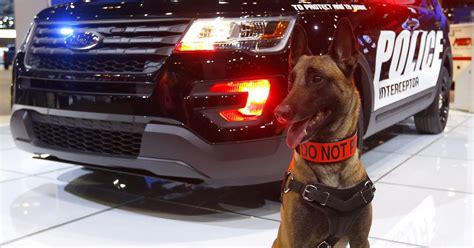Police Dog Unveils Fords New Cop Suv Cruiser
