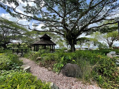 Heres Why Seniors Should Visit Therapeutic Gardens In Singapore Aic