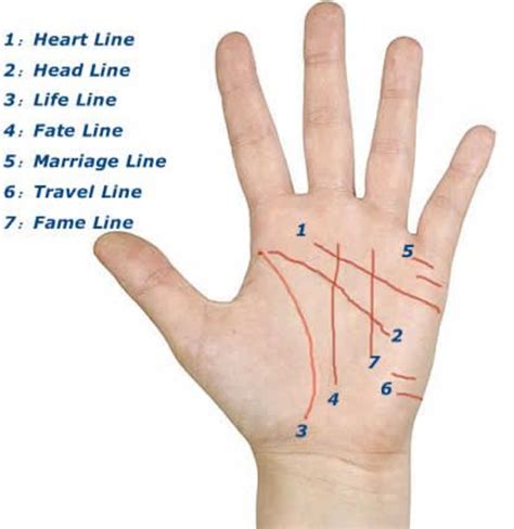 Palm Reading Lines On Hands