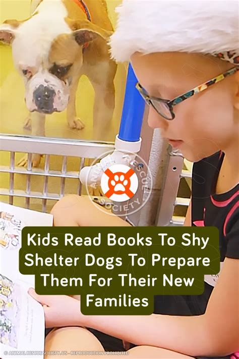 Kids Read Books To Shy Shelter Dogs To Prepare Them For Their New