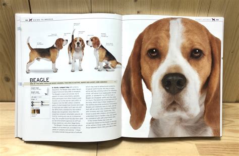 Dk The Complete Dog Breed Book愛犬品種圖鑑 吉米康妮圖書