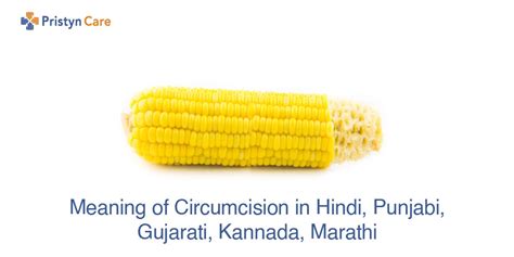 Meaning Of Circumcision In Hindi Punjabi Gujarati Kannada Marathi