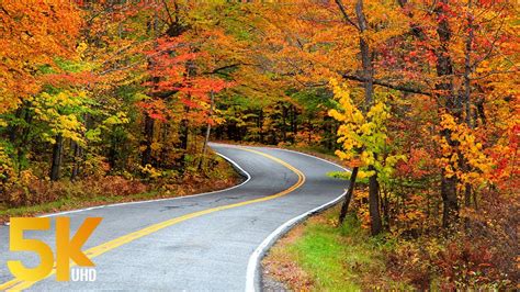 35 Hrs Scenic Autumn Drive Through Colorful Forests 5k Discovering