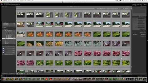 4 Of The Most Important Elements Of The Lightroom Library Module