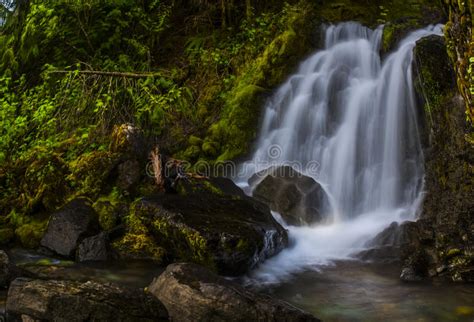 Stevens Creek Waterfalls Mt Rainier Stock Photo Image Of Rainier