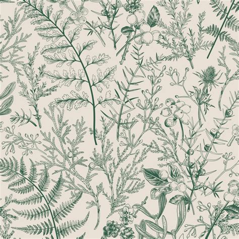 Botanical Fern Wallpaper Peel And Stick The Wallberry