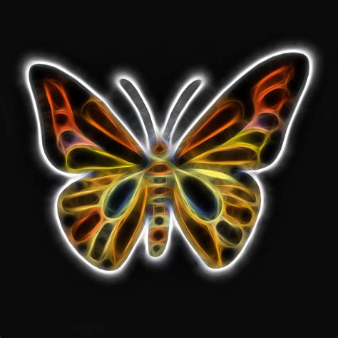 Neon Butterfly Free Stock Photo Public Domain Pictures