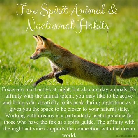 Fox Spirit Animal Meaning Fox Spirit Spirit Animal Fox Spirit