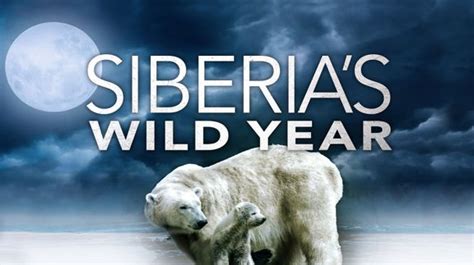 Stream Siberias Wild Year Magellantv