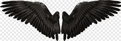 Free Download Devil Wings Black Wings Wing Png Pngegg