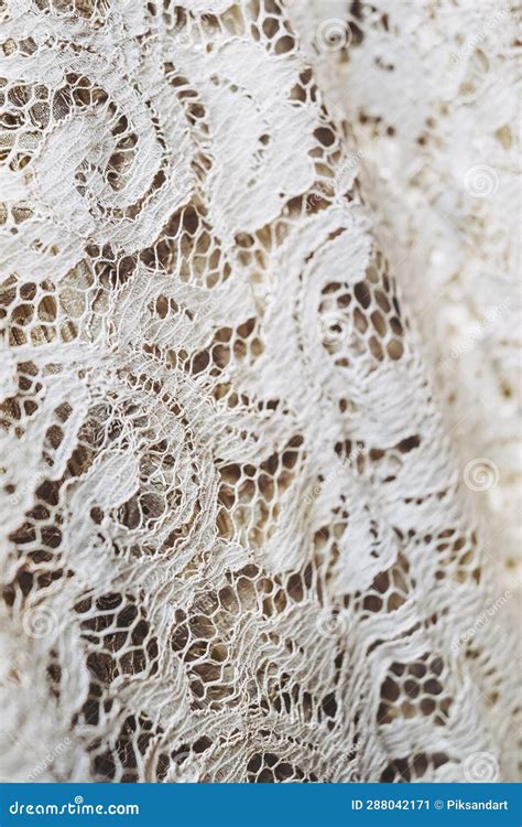 Vintage White Lace Fabric With Embroidered Patterns Stock Image Image