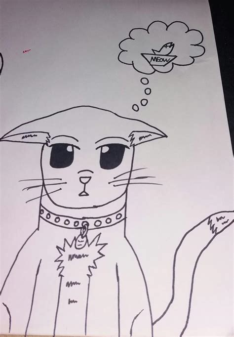 Derpy Cat By Kidbay On Deviantart