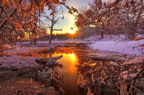 Winter Sunrise Glow Sun Dazzling Bonito Trees Sky Lake Winter