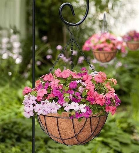 Buy Brown Coir Pack Of 4 Hanging Basket Planter By Coirgarden At 18