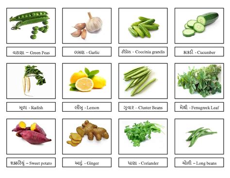 indian vegetables names in english english lessons gambaran